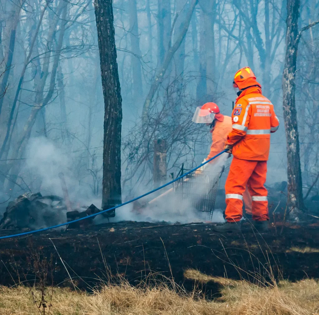 Fire Mitigation Services
