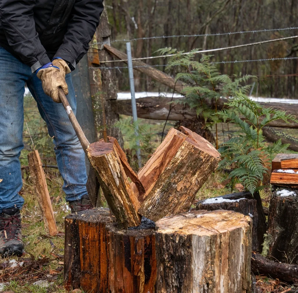 Stump Grinding and Removal Services