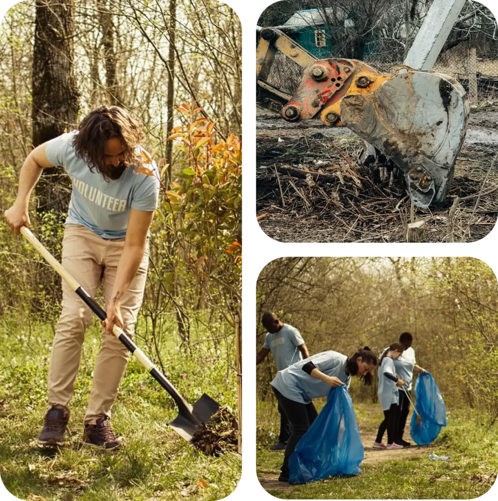land-and-lot-clearing