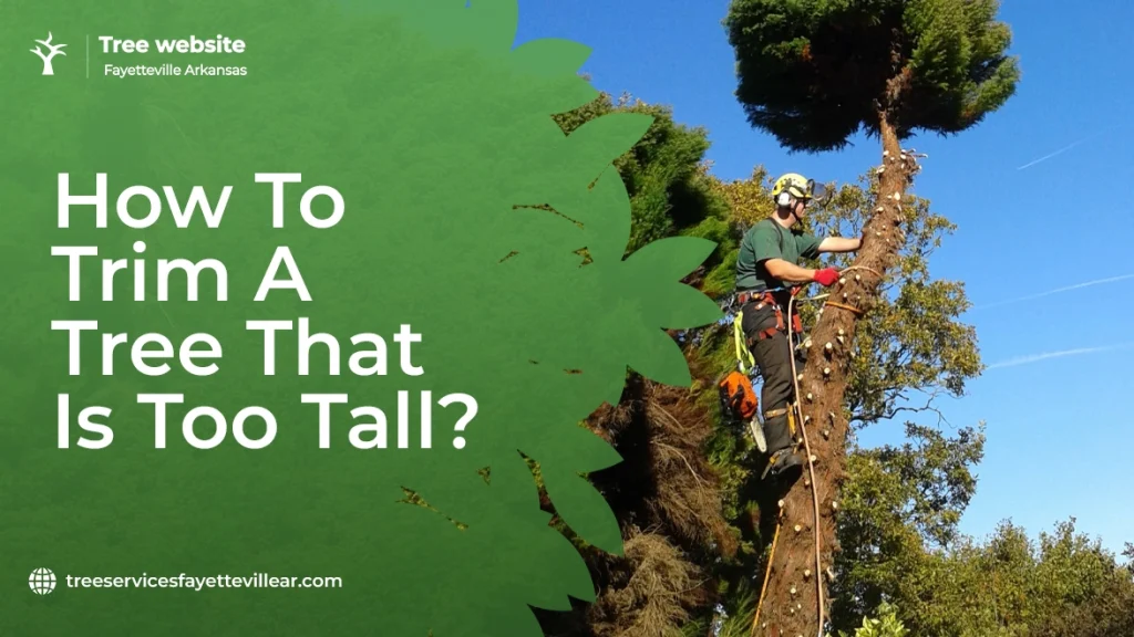 How to Trim a Tree That is Too Tall