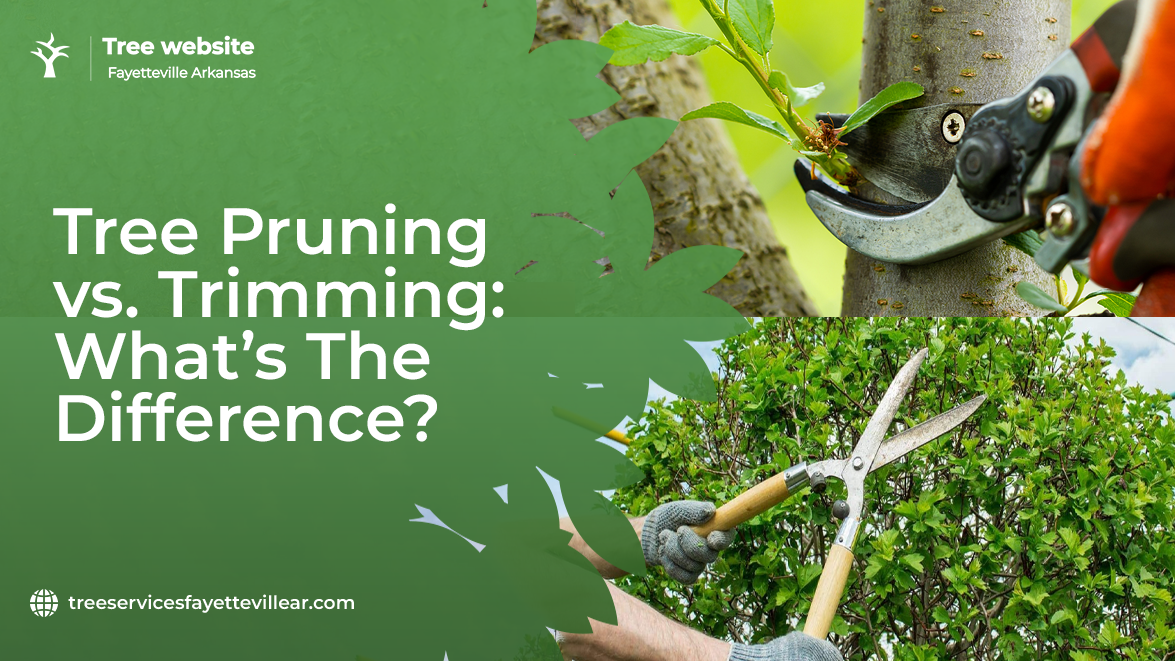 Tree Trimming Vs Tree Pruning
