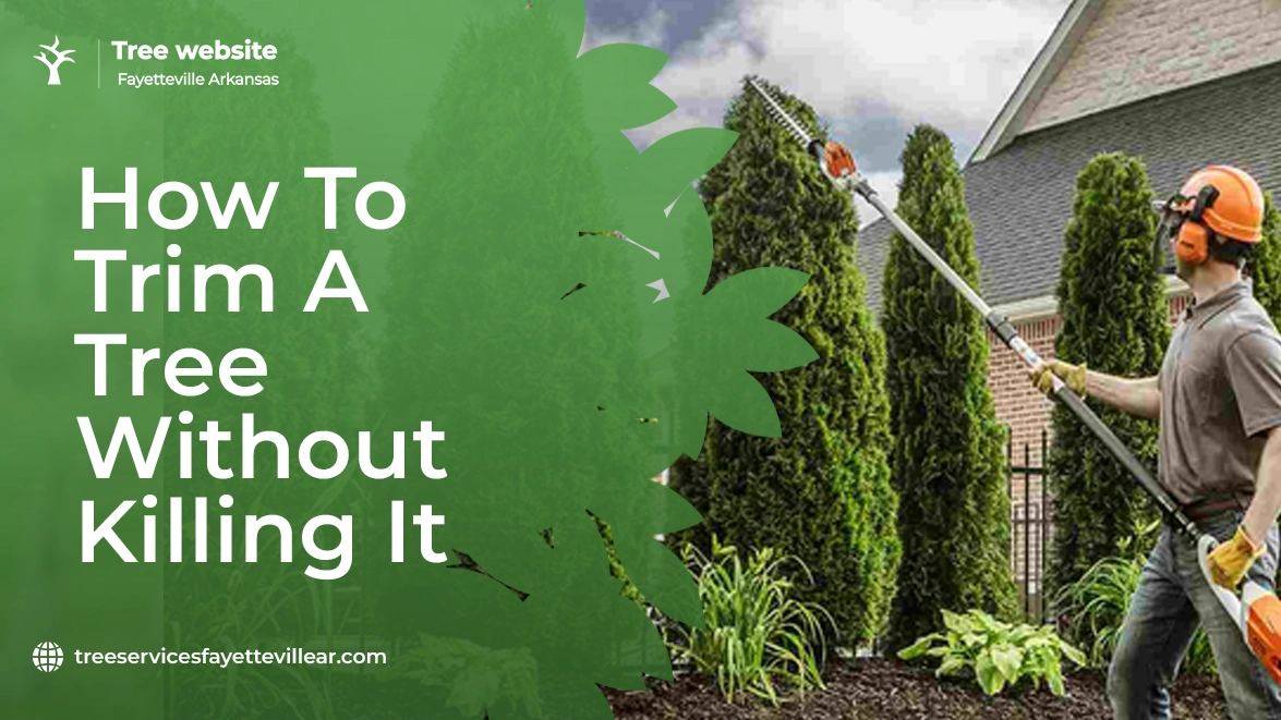 How To Trim A Tree Without Killing It