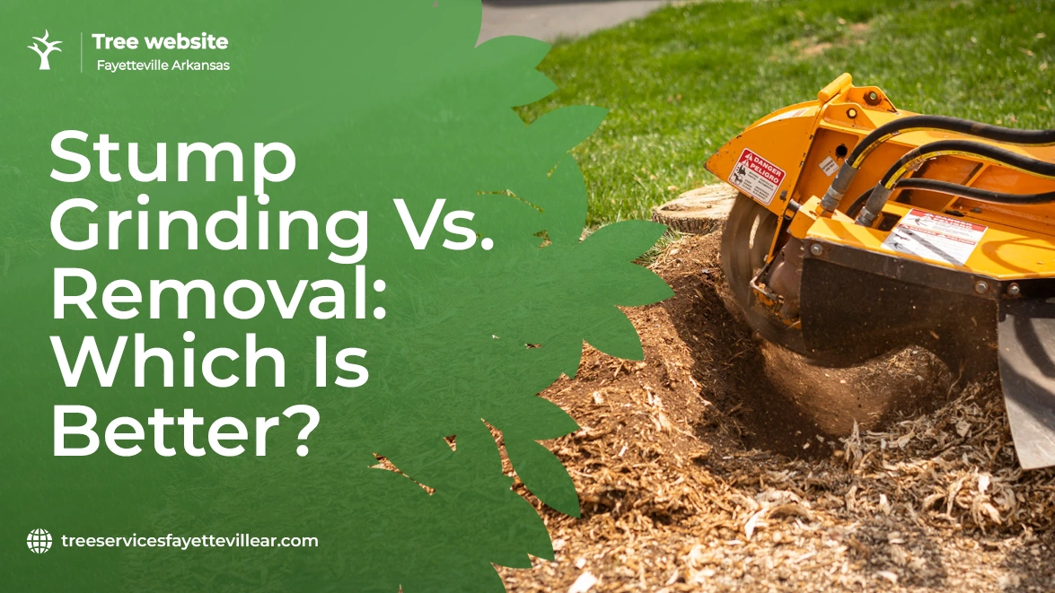 Stump Grinding vs Removal