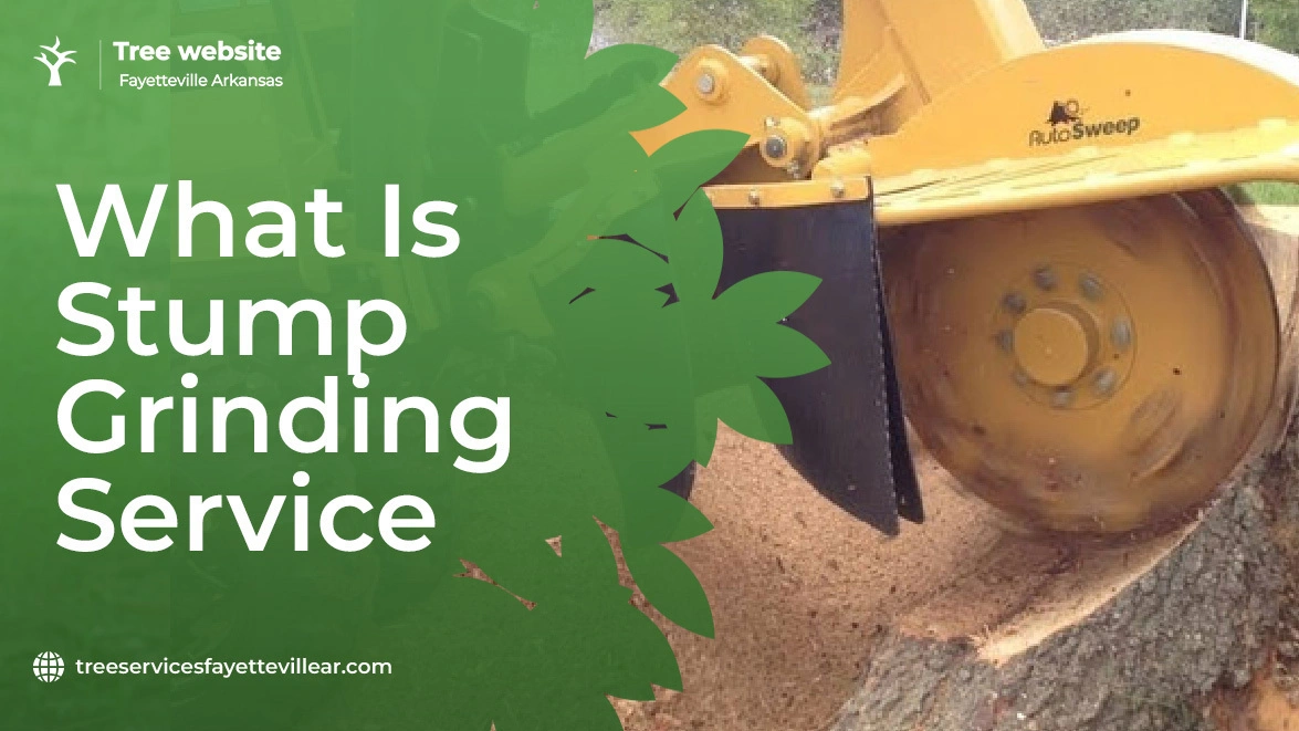 What Is Stump Grinding Service