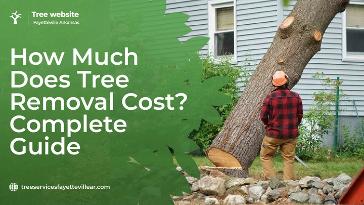 Tree Removal Cost