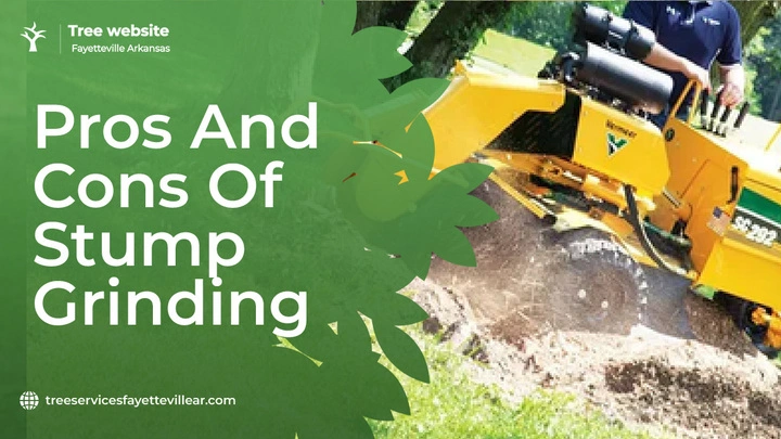 Pros and Cons of Stump Grinding